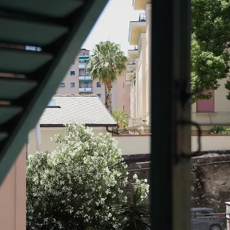 Midcentury Design With A View